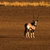 Reportage Namibia, Africa photographed by the photographer Silvia Boccato